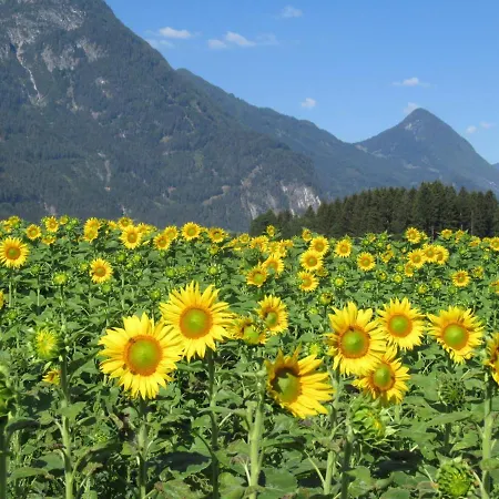 Haus Eder Burgi * Nikolsdorf