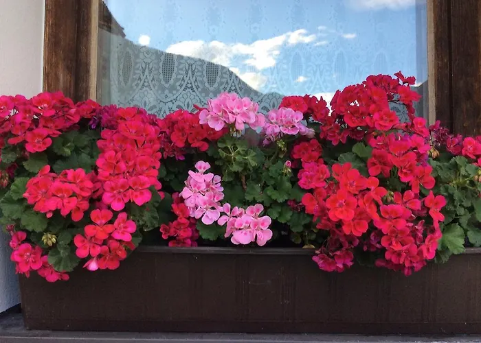 Haus Eder Burgi * Nikolsdorf