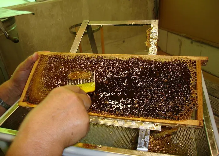 Haus Eder Burgi Vendégház Nikolsdorf