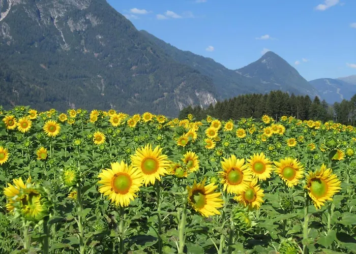 Haus Eder Burgi * Nikolsdorf